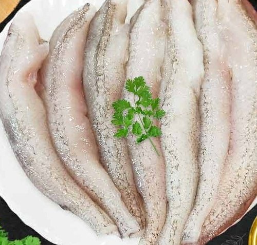 Fresh Bombay Duck (Bombil) Medium - Whole, Cleaned