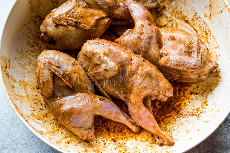 Marinated Quail Meat